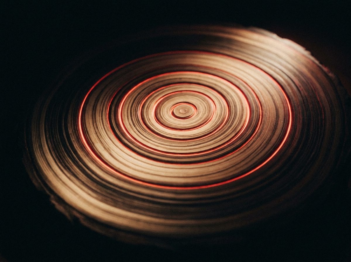 A glowing cross section of tree growth rings in dramatic low-key red light, representing the compounding layers of SEO content and authority built up over time